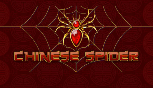 Chinese Spider