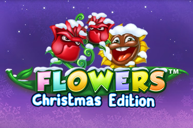 Flowers Christmas Edition