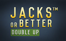 Jacks or Better Multiple Hands