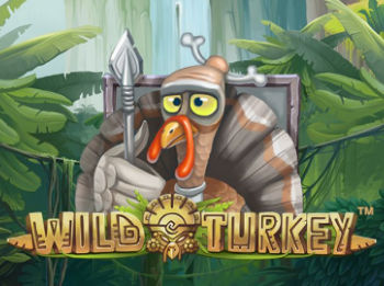 Wild Turkey