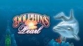 Dolphin's Pearl