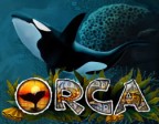Orca