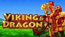 Viking & Dragon