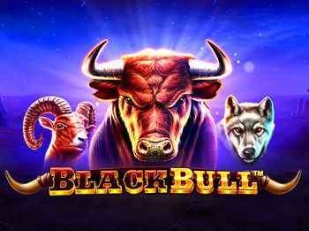 Black Bull