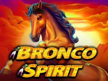 Bronco Spirit