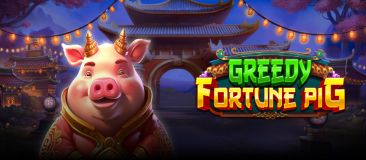 Greedy Fortune Pig