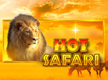 Hot Safari