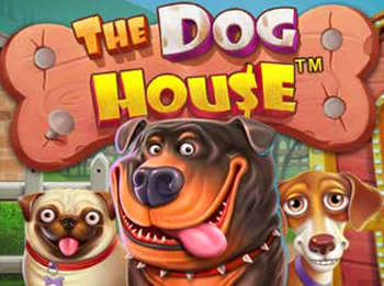 The Dog House