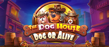 The Dog House – Dog or Alive