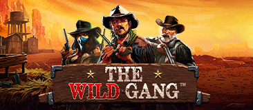 The Wild Gang