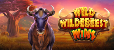 Wild Wildebeest Wins