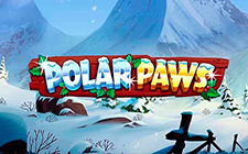 Polar Paws