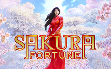 Sakura Fortune
