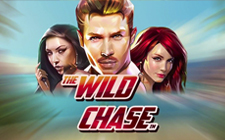Wild Chase