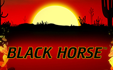 Black Horse