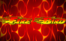 Fire Bird