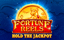 Fortune Reels