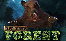 In the Forest