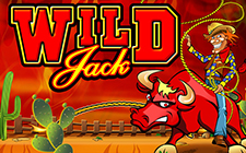 Wild Jack